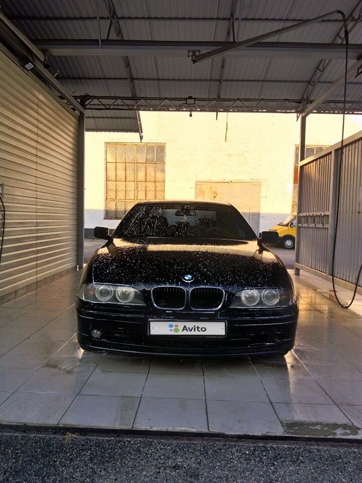 BMW 5 серия: фото владельца