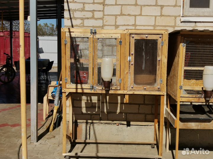 Крольчатник