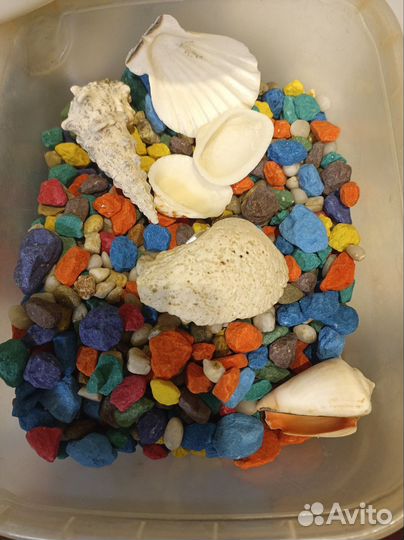 Аквариум 10 литров