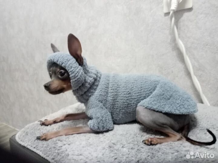 Вязанный Домик для кошки и вязанные одёжки