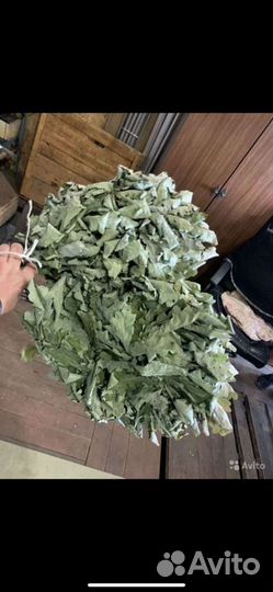Дубовые веники для бани