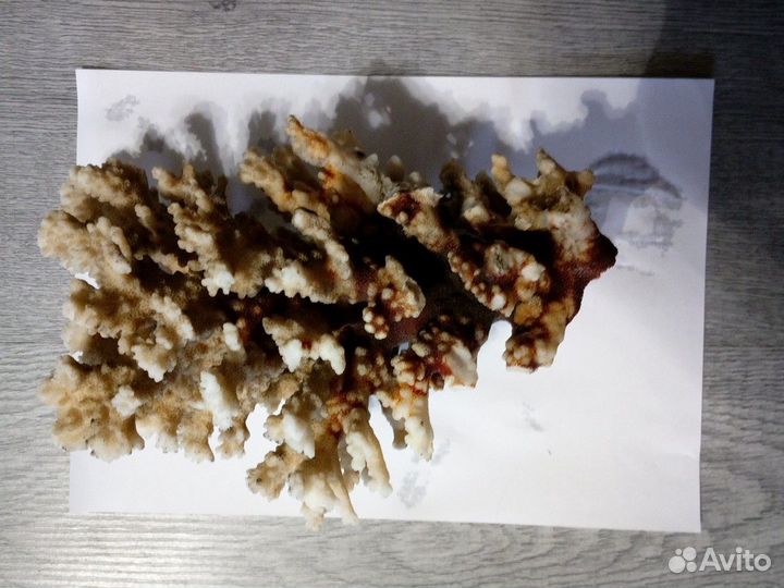 Аксессуар для аквариума