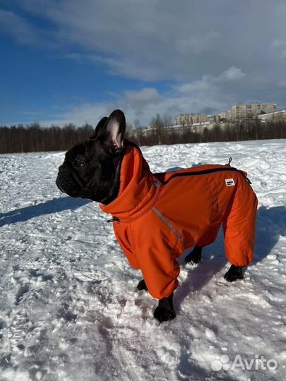 Комбинезон зимний для собаки