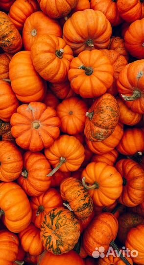 Комплектовщик Вахта Москва Питание Бесплатное