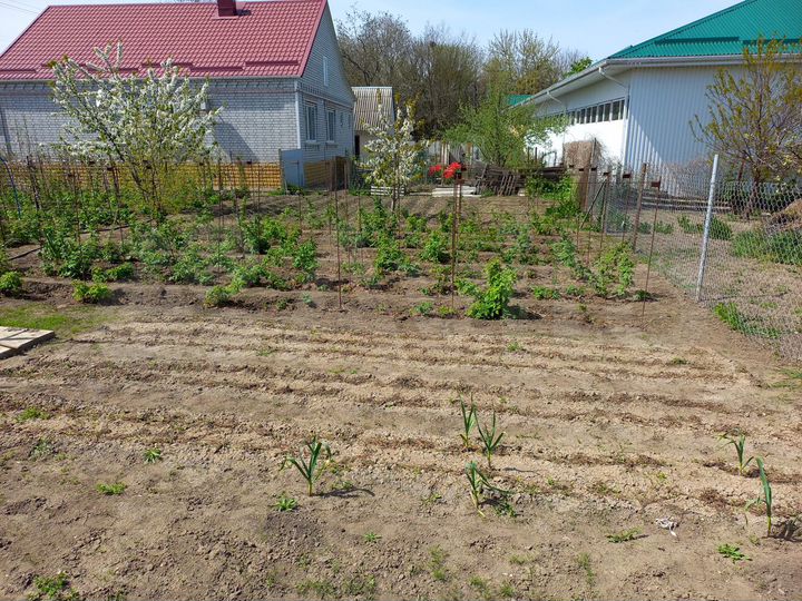 Участок 6,6 сот. (ИЖС)