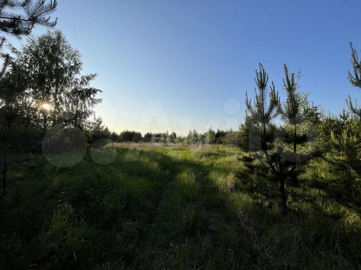 Участок 9 сот. (СНТ, ДНП)