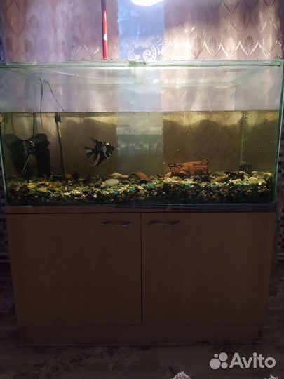 Аквариум с тумбой 250 литров