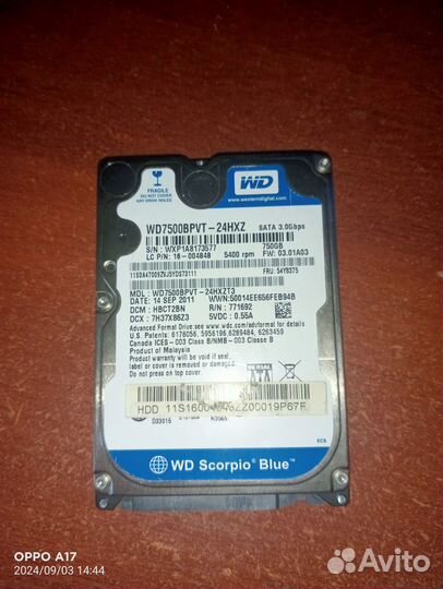 Жесткий диск 750 gb 2.5