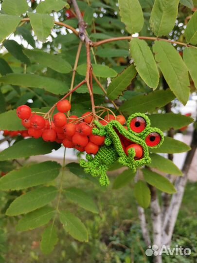 Лягушка малышка