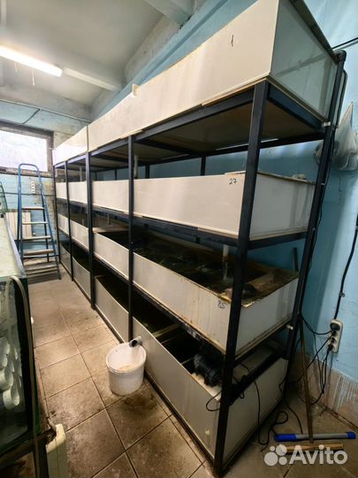 Модуль для рака