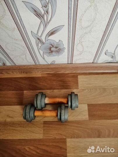 Гантели разборные 2 шт