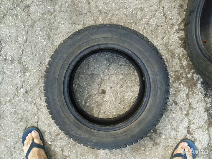 Nokian Tyres Nordman 5 175/65 R14