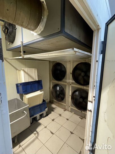 Камера сушки/ вялки для мяса, рыбы, овощей и др