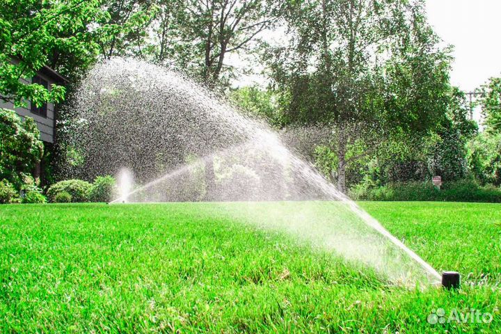 Укладка газона