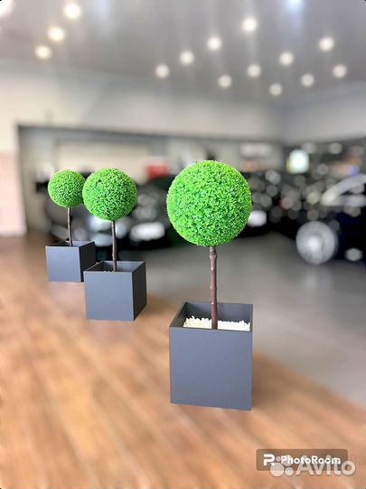 Самшиты искуственные 10-12 см