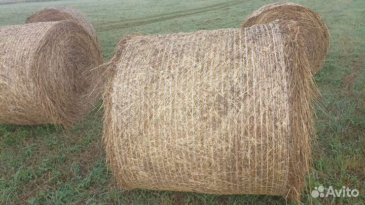 Сено в рулонах
