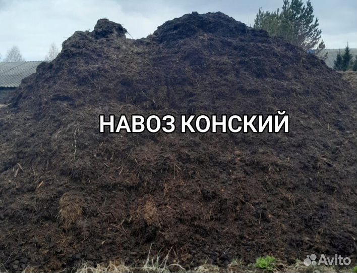 Конский перегной,навоз конский