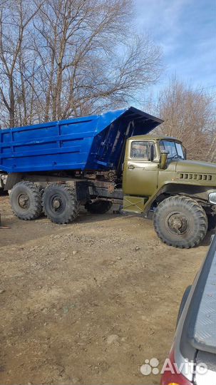 Услуги самосвал вездеход