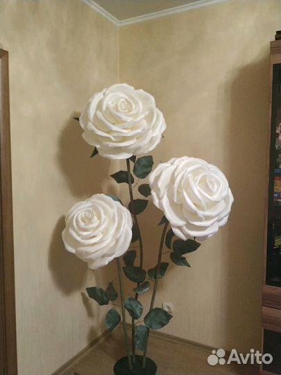 Ростовые цветы Роза