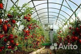Теплицы от производителя