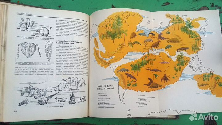 Детская энциклопедия 1964г