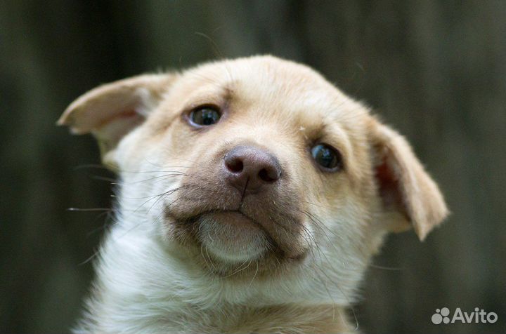 А я иду шагаю к тебе