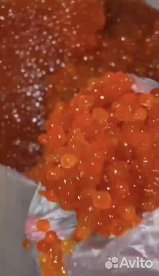 Красная икра оптом