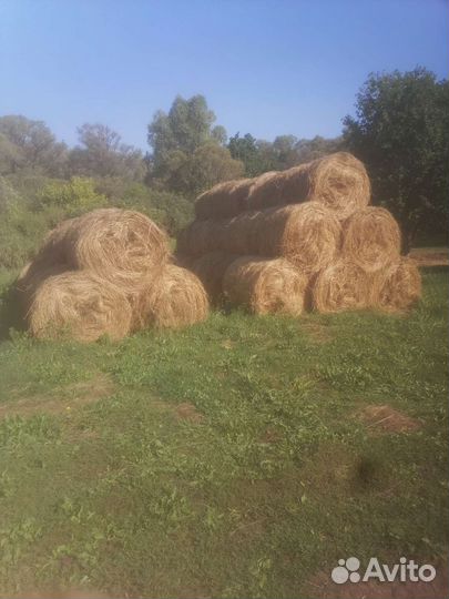 Трактор Агромаш 30ТК Владимирец, 1970