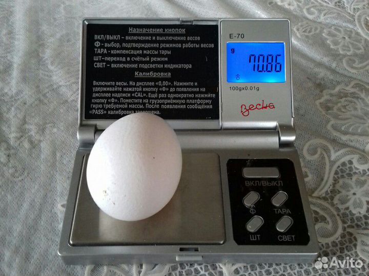 Куриные деревенские яйца