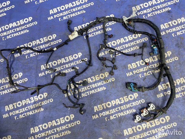 Проводка подкапотная Ford Focus 2 седан qqdb 2007