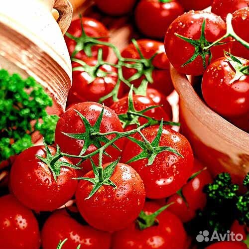 Вахта упаковщик томатов по стаканам теплицы выезд