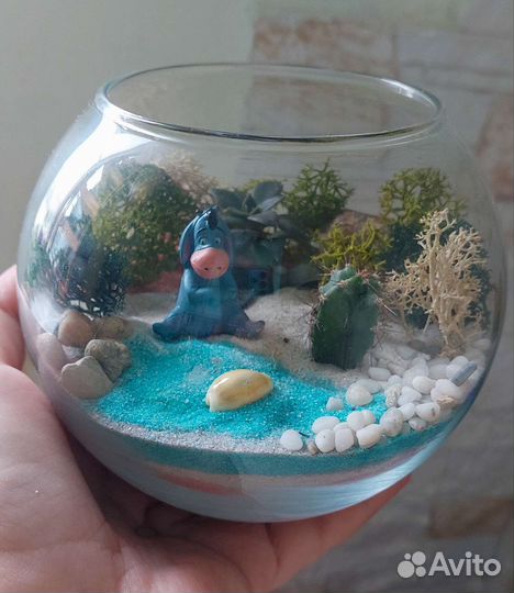 Флорариумы на 1 сентября