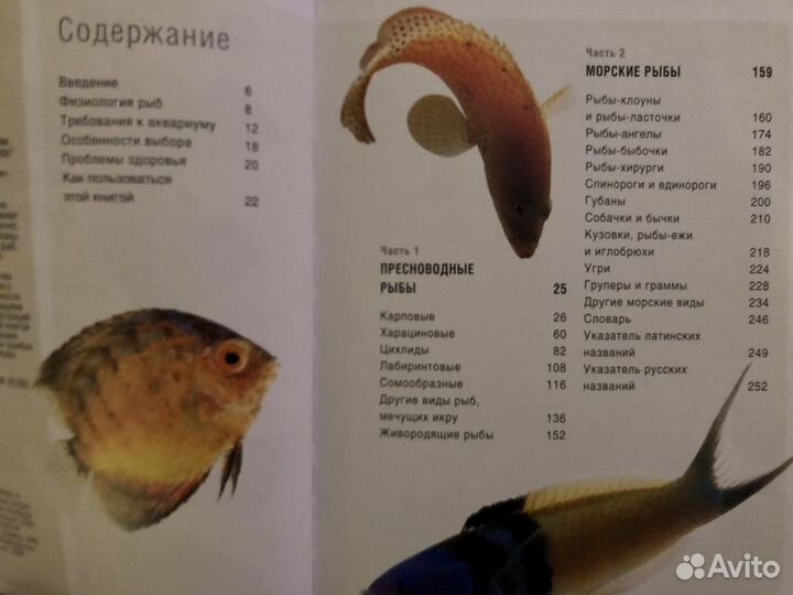 Справочник по аквариумным рыбам