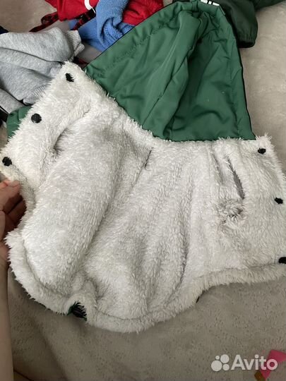 Одежда для собак мелких пород