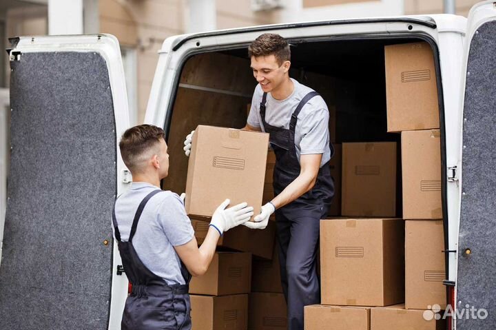 Грузчики в ночь