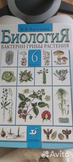 Учебник по биологии 6 класс под ред. Пасечник В В