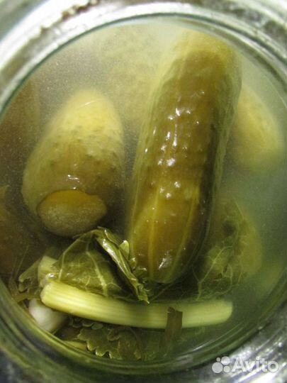 Огурцы бочковые деревенские