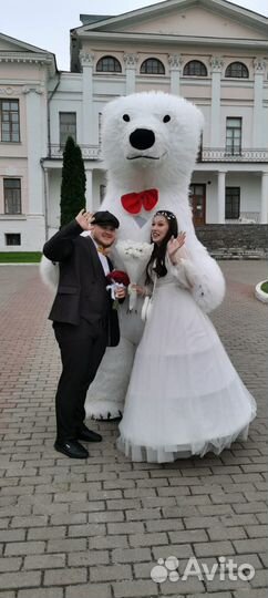 Белый мишка Тимон