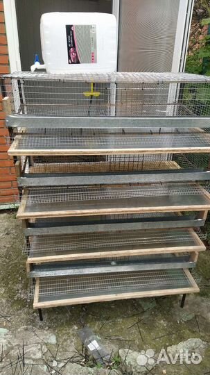 Клетки для перепелов