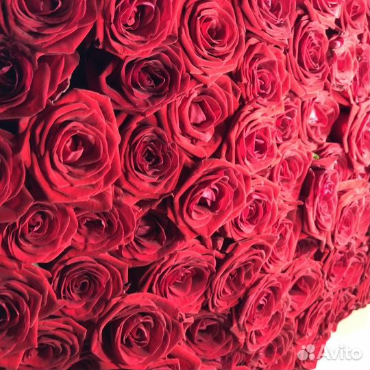 101 роза с доставкой