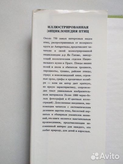 Энциклопедия птиц