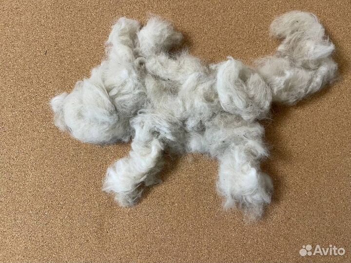 Собачья шерсть пух