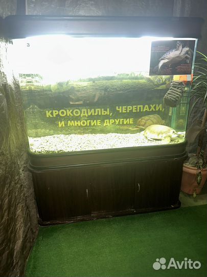 Аквариум 390 литров