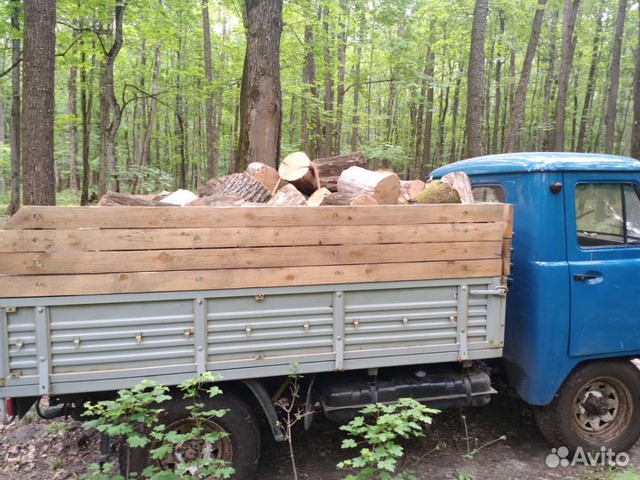 Дрова дубовые