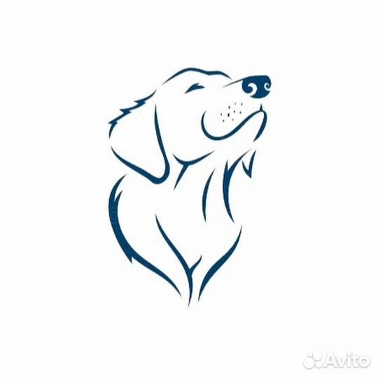 Услуги догситтера/передержка собаки