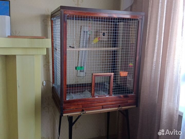 Продам неразлучников