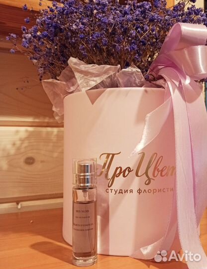 Iris noir, Русская красавица Новая заря