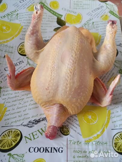 Мясо Домашнего Бройлера