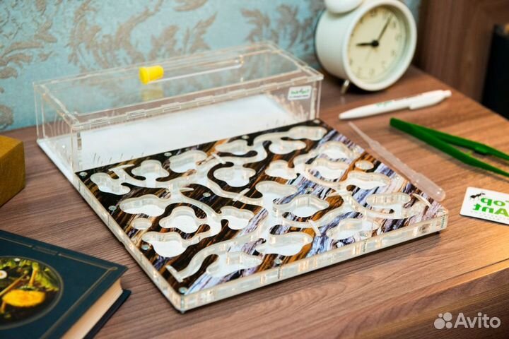 Ферма с муравьями / Формикарий