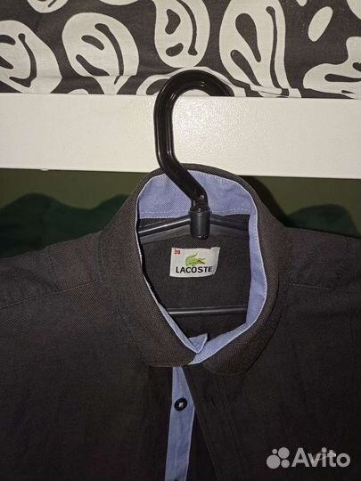 Рубашка lacoste